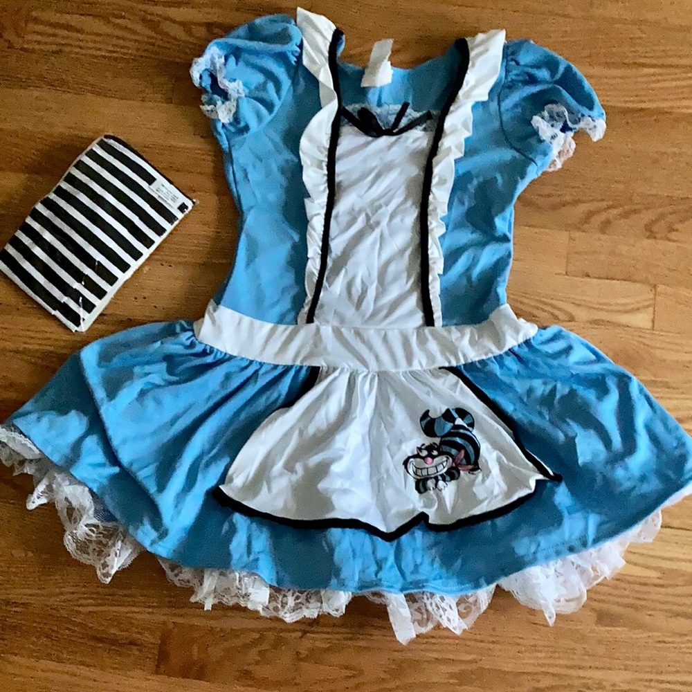 ALICE Costume - Picture 2 of 4